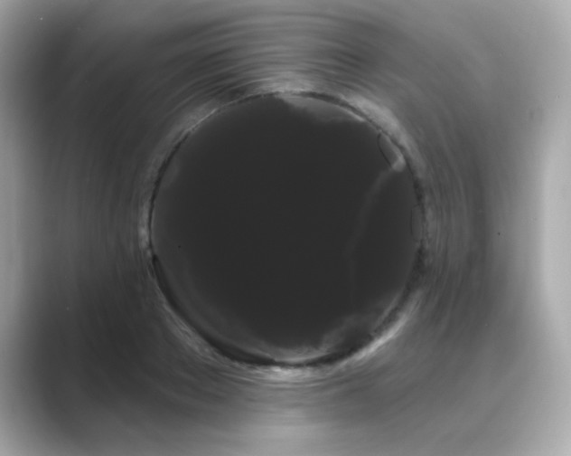X0000089760889200706211541