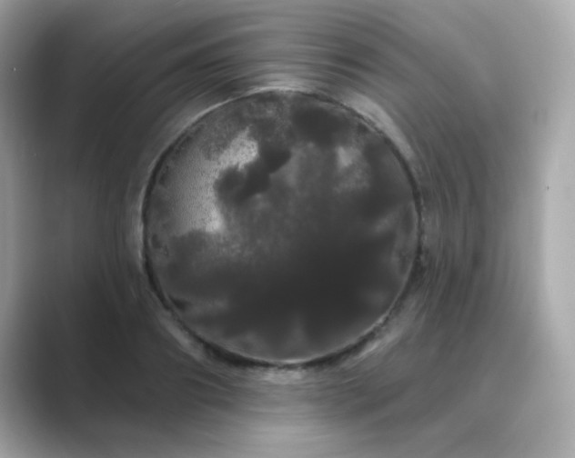 X0000089760890200706211541