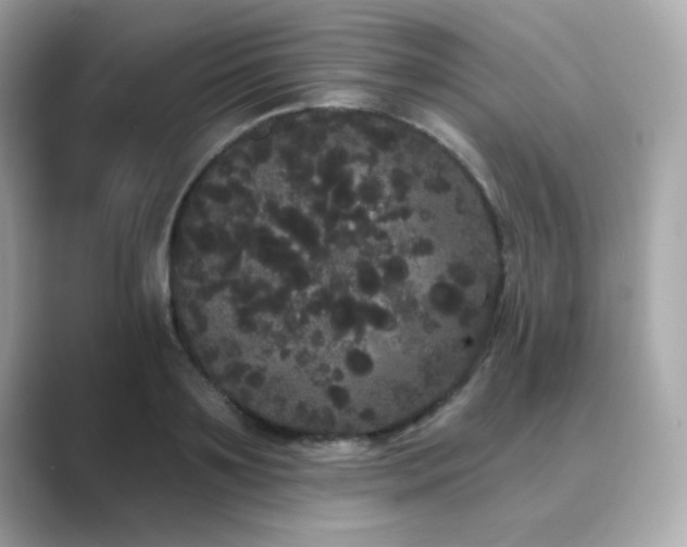 X0000089760891200706211541