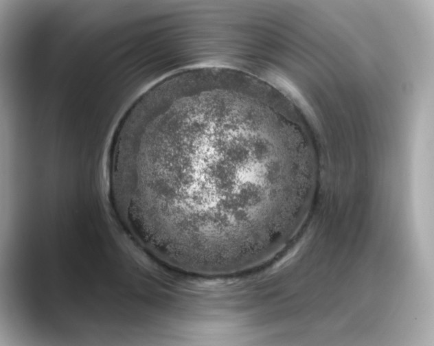 X0000089760892200706211541