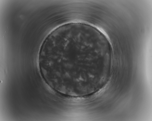 X0000089760895200706211541