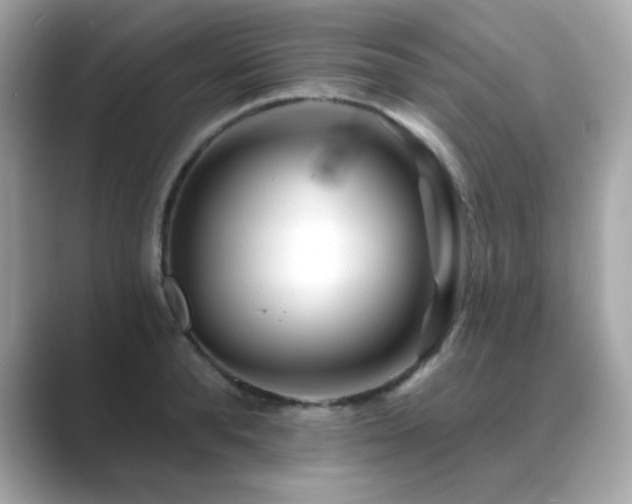 X0000089760896200706211541