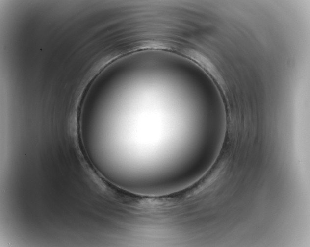 X0000089760898200706211541