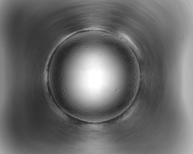 X0000089760900200706211541