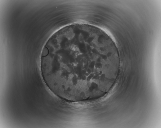 X0000089760903200706211541