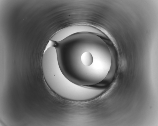 X0000089760905200706211541
