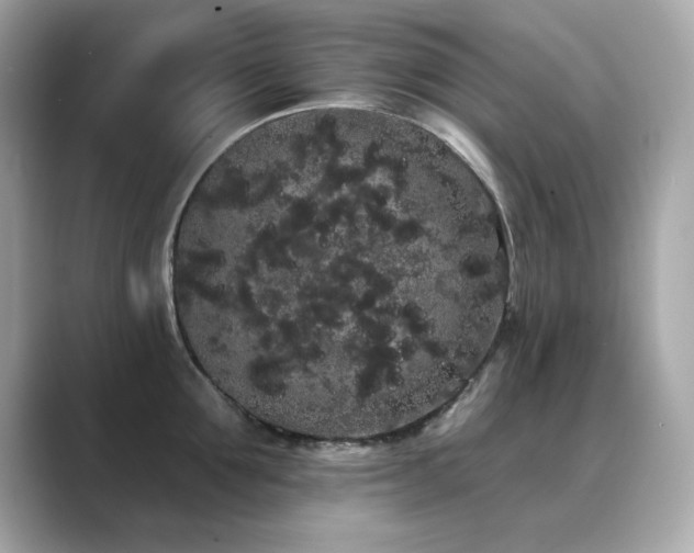 X0000089760907200706211541