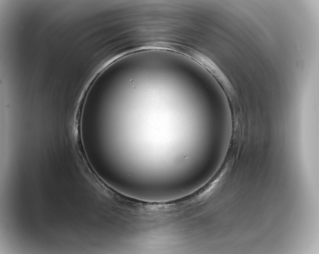 X0000089760908200706211541