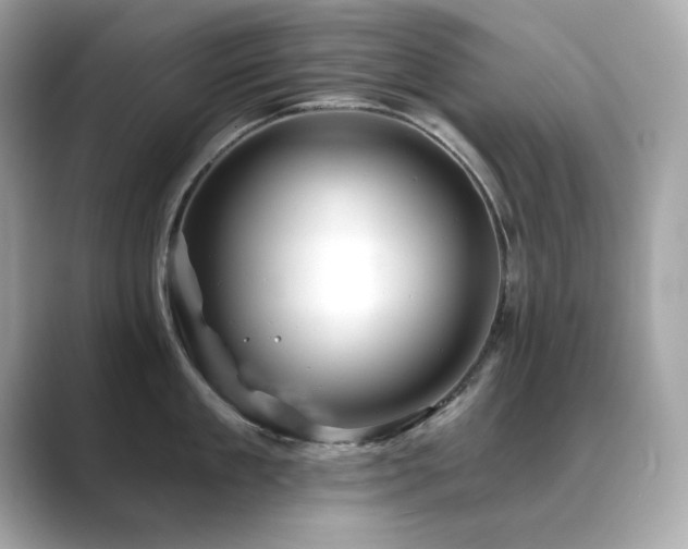 X0000089760909200706211541