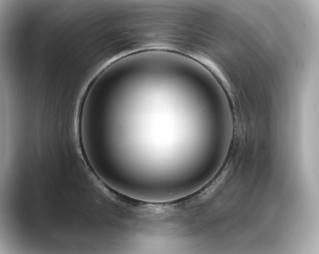 X0000089760910200706211541