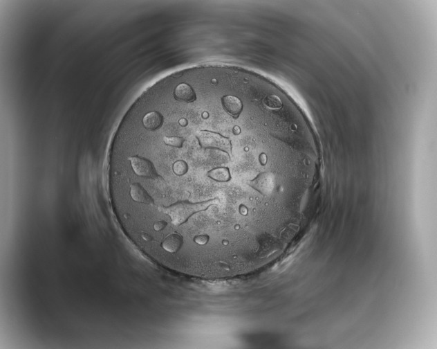 X0000089760911200706211541