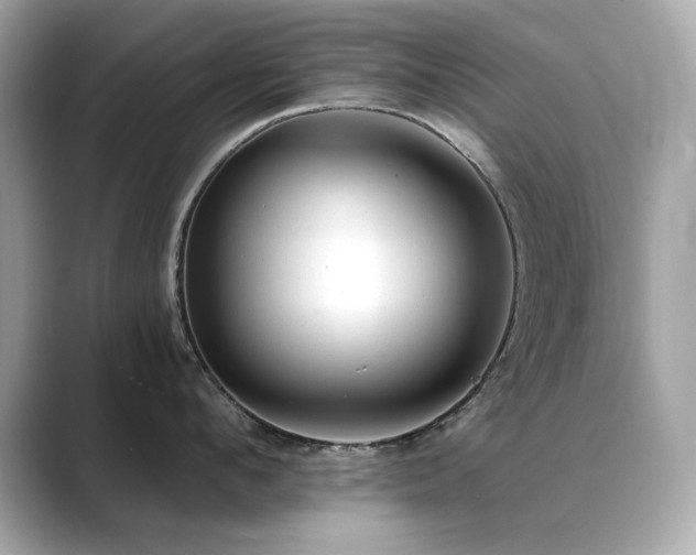 X0000089760912200706211541