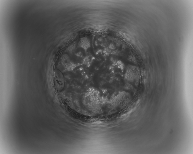 X0000089760913200706211540