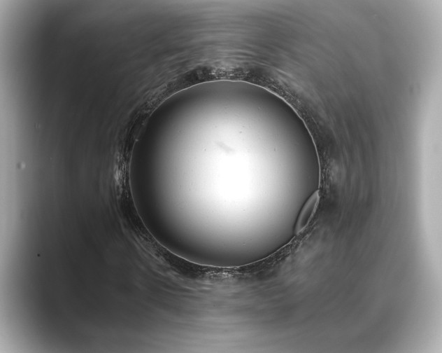 X0000089760914200706211541