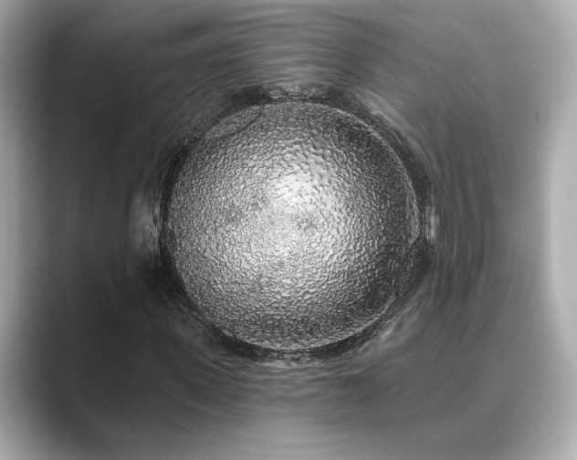 X0000089760915200706211541