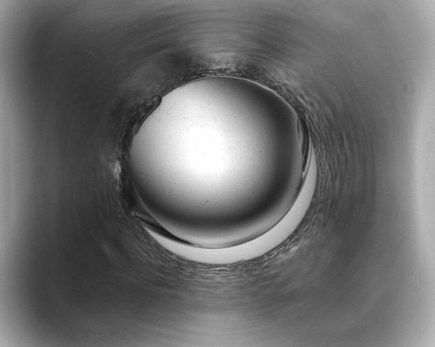 X0000089760916200706211541
