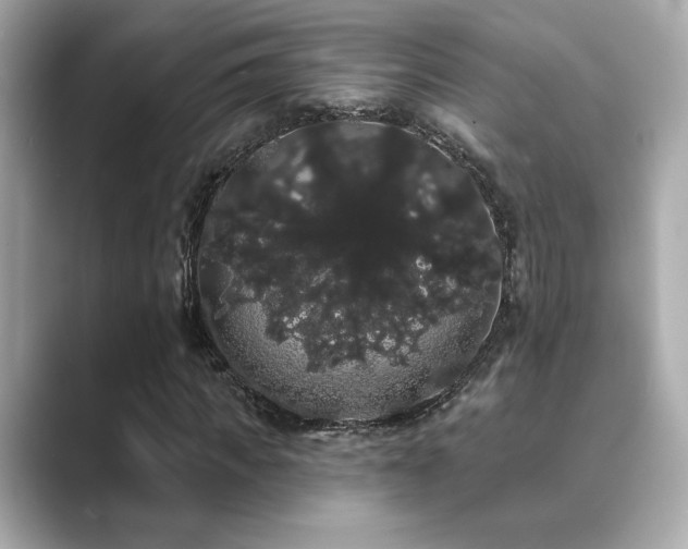 X0000089760917200706211541