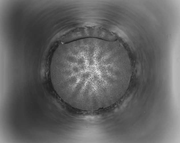 X0000089760920200706211541