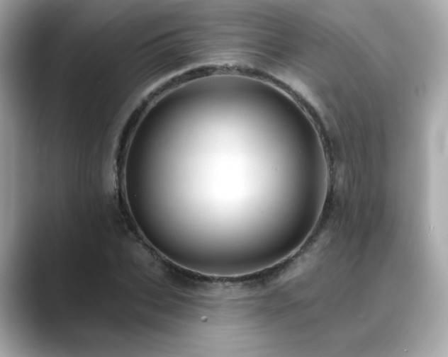 X0000089760927200706211541