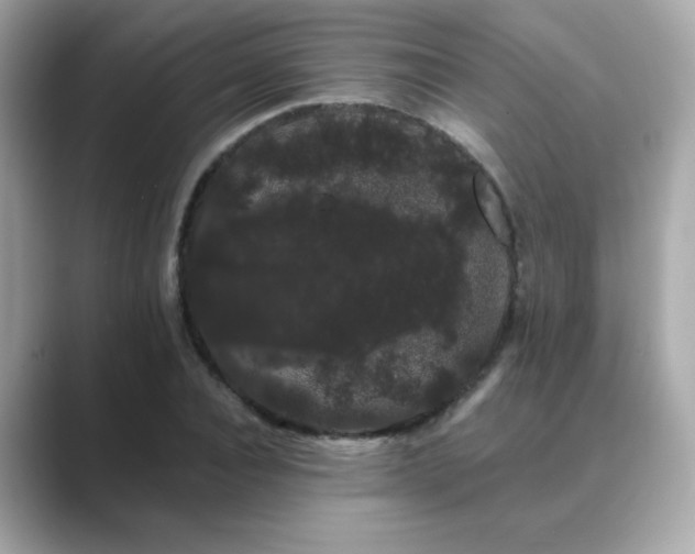 X0000089760928200706211541