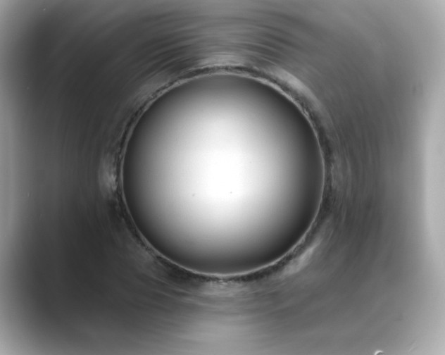 X0000089760929200706211541