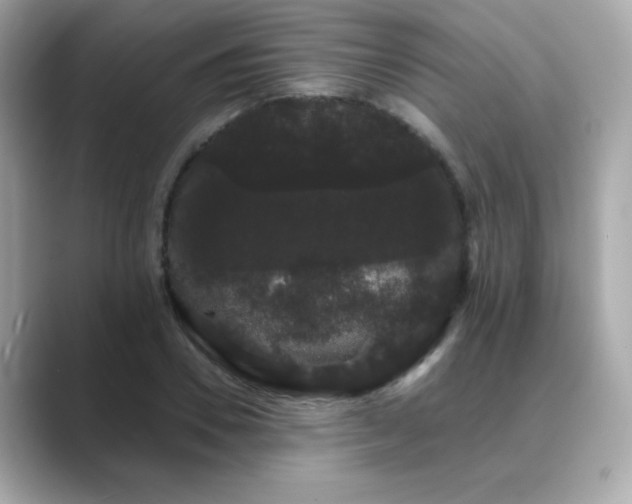 X0000089760930200706211541