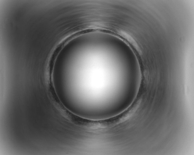 X0000089760931200706211541