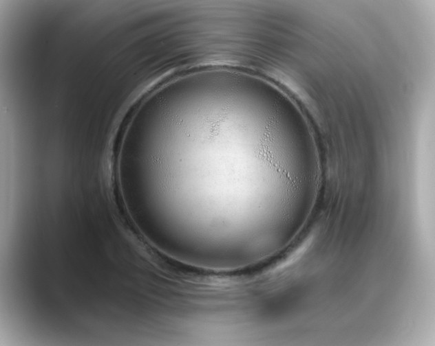 X0000089760933200706211541