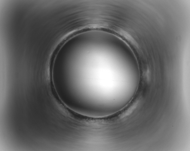 X0000089760934200706211541