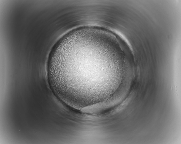 X0000089760935200706211541