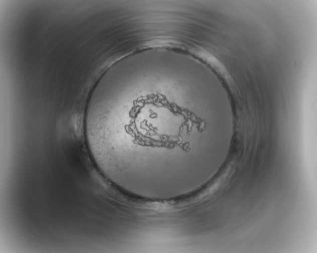 X0000089760937200706211541
