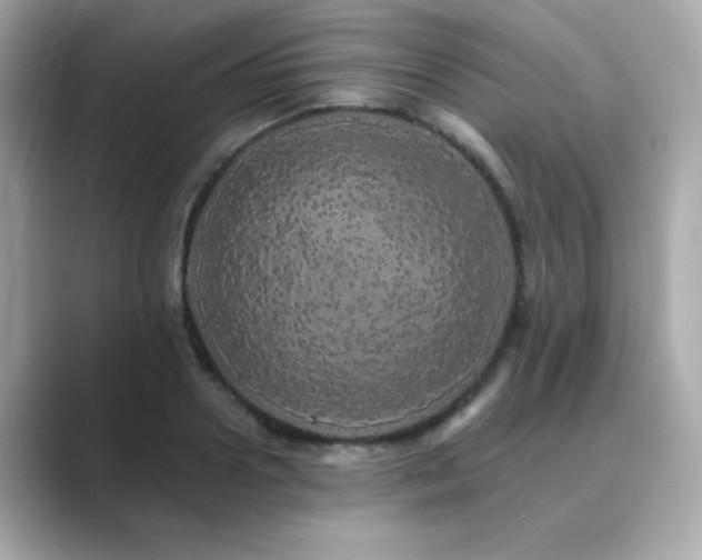 X0000089760938200706211541