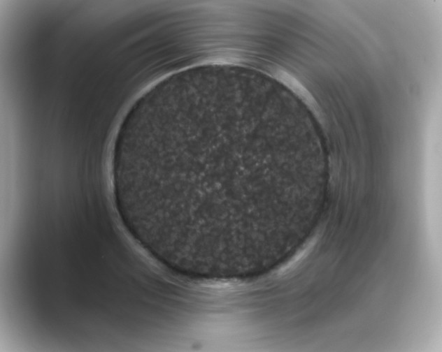 X0000089760939200706211541