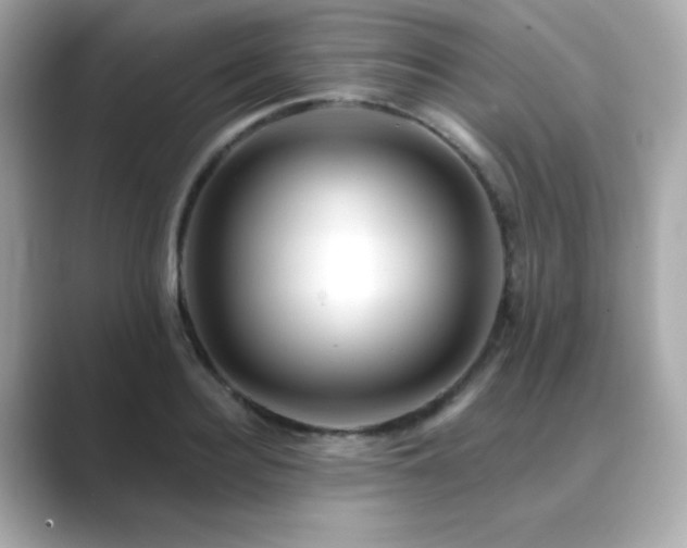 X0000089760940200706211541