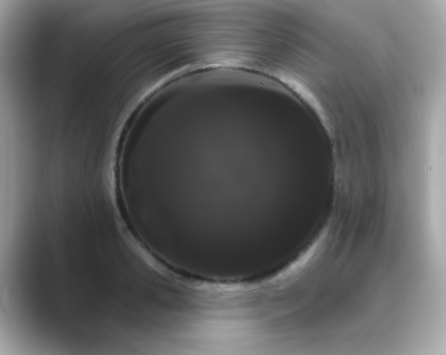 X0000089760941200706211541