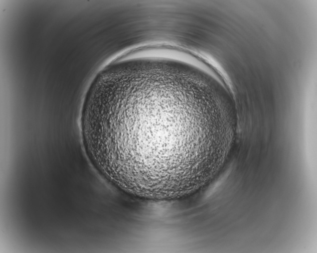 X0000089760943200706211541