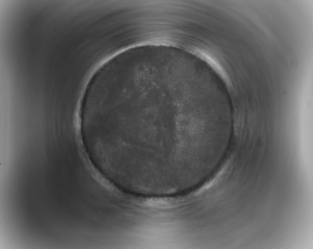 X0000089760944200706211541