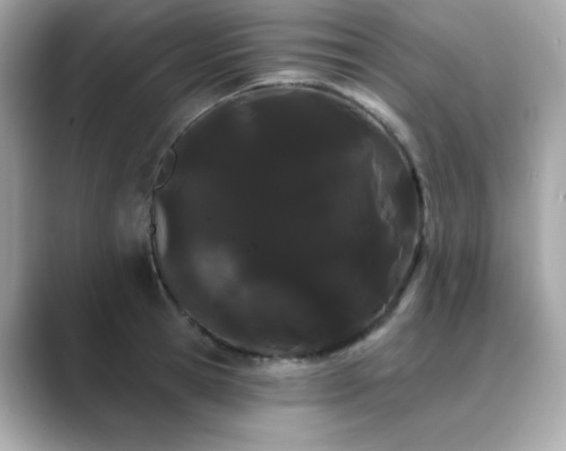 X0000089760945200706211541