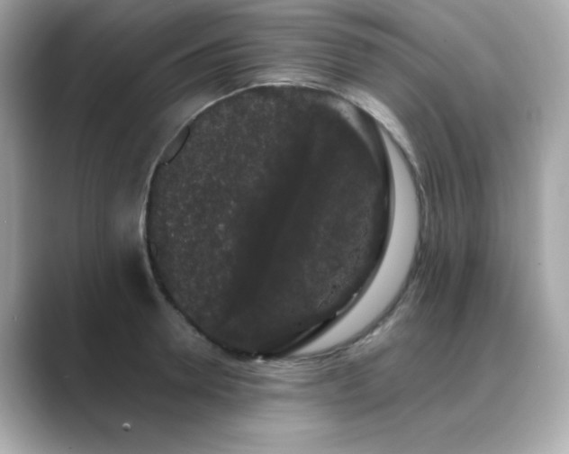 X0000089760946200706211541