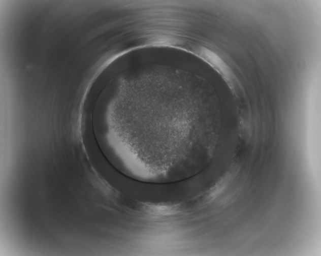 X0000089760948200706211541