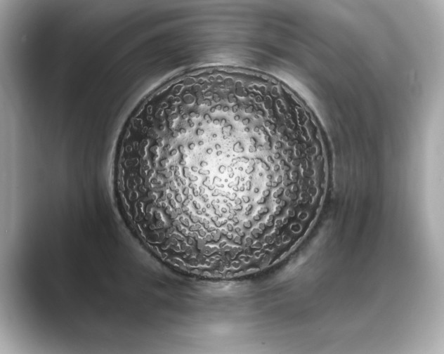 X0000089760949200706211541