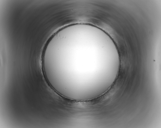 X0000089760950200706211541