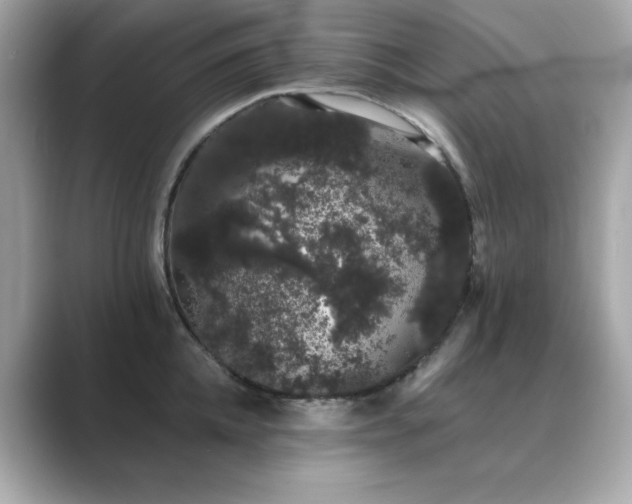 X0000089760952200706211541