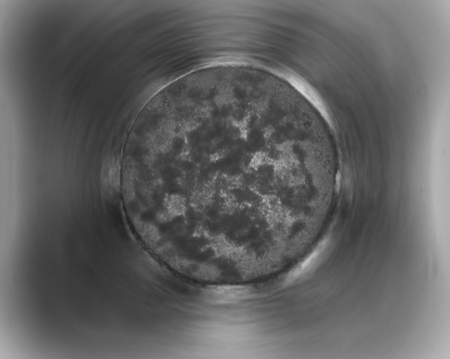 X0000089760953200706211541