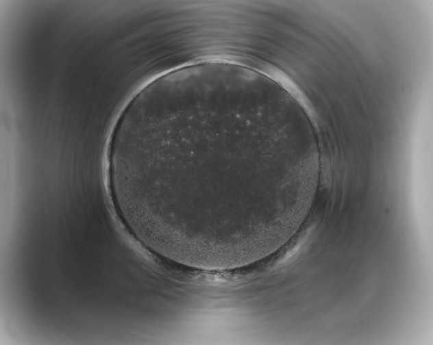 X0000089760955200706211541