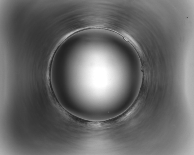 X0000089760956200706211541