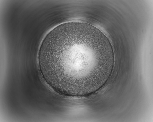X0000089760960200706211541