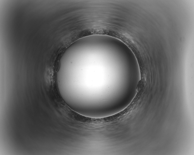 X0000089760964200706211540