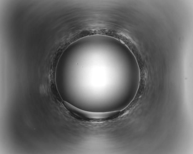 X0000089760965200706211540