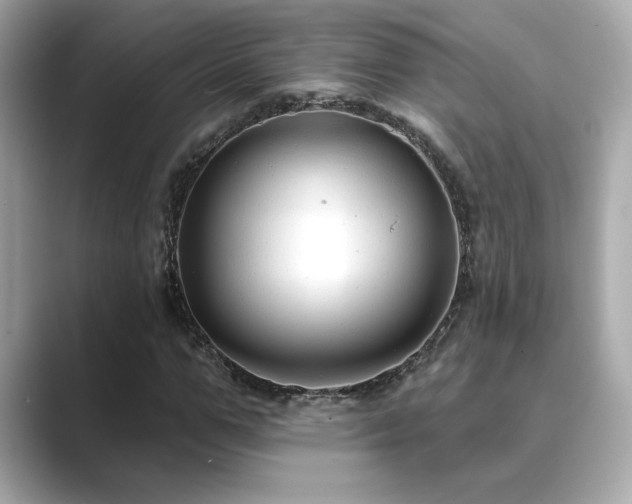 X0000089760967200706211540